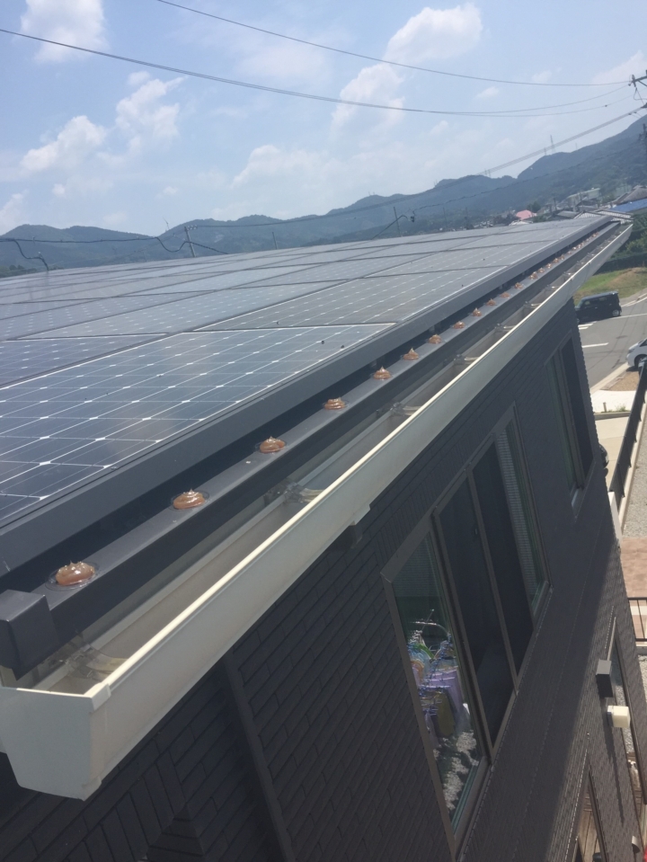 鳩除け工事170120